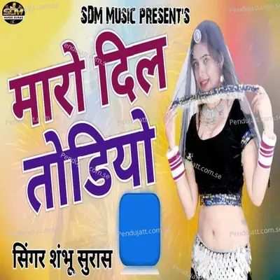 Maro Dil Todiyo - Shambhu Suras album cover 