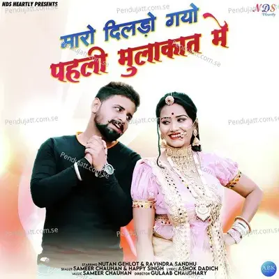 Maro Dildo Gayo Pehli Mulaakat Me - Sameer Chauhan album cover 