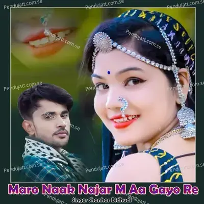 Maro Naak Najar M Aa Gayo Re - Shankar Bidhudi