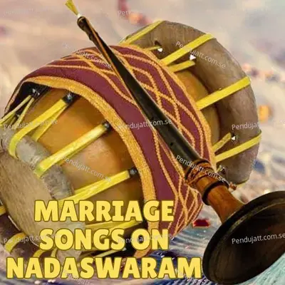 Nee Dhayaradha - T.E.Palaniswamy album cover 