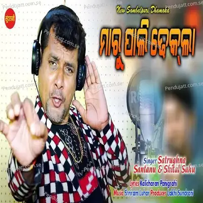 Marupali Dhekla - Satrughna album cover 