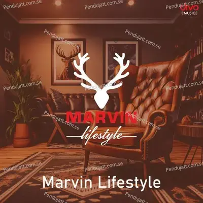 Marvin Lifestyle - Gubbi album cover 