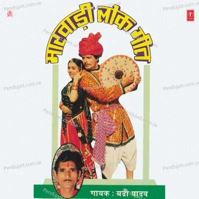 Do Choti Matha Par Chhoryan - Badri Yadav album cover 