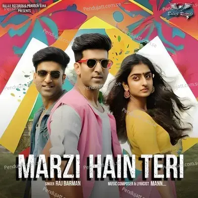 Marzi Hain Teri - Mann album cover 