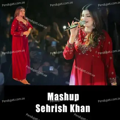 Mashup - Sehrish Khan album cover 