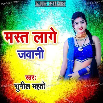 Mast Lage Jawani - Anil Kumar album cover 