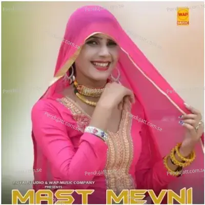 Mast Mevani Mewati Song - Wasim Akram Alwar cover album