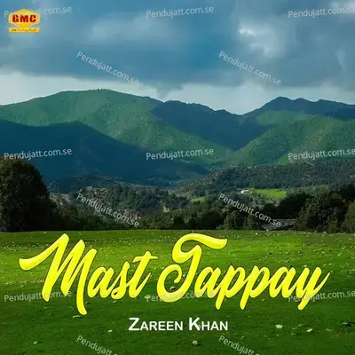 Tappay  Pt  2 - Zarine Khan album cover 