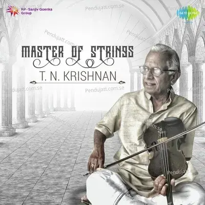 Vishveswara Darshan - T.N. Krishnan album cover 