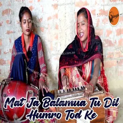 Mat Ja Balamua Tu Dil Humro Tod Ke - Puja album cover 