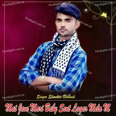 Mat Jave Mari Baby Sent Lagar Mela M - Shankar Bidhudi