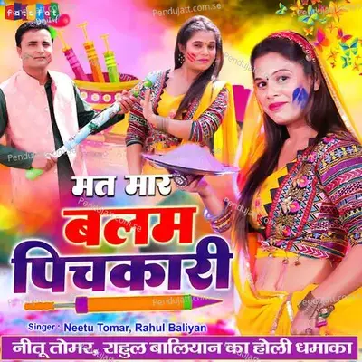 Mat Mar Balam Pichkari - Neetu Tomar album cover 