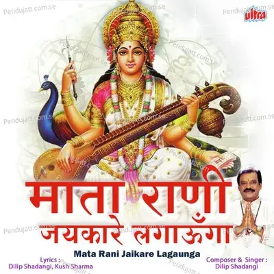 Meri Mata Tu Hamesh Mere Saath Rahe - Dilip Shadangi album cover 