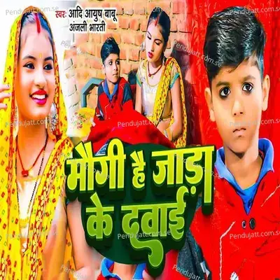 Maughi Hai Jada Ke Dawai - Aadi Ayush Babu album cover 