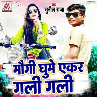 Maugi Ghume Yekar Gali Gali - Sunil Raja album cover 