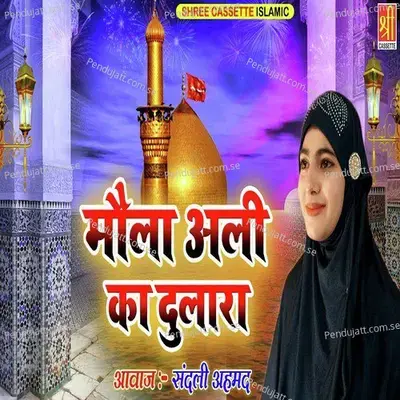 Kya Bharosa Hai Is Zindagi Ka - Sandali Ahmad album cover 