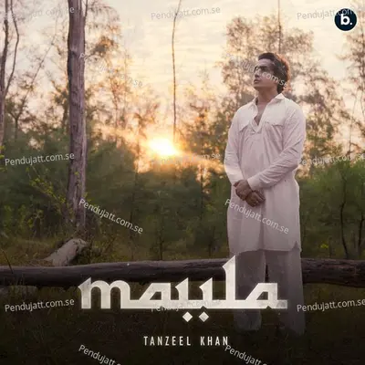 Maula - Tanzeel Khan album cover 