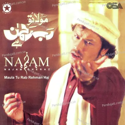 Jo Hai Tera Mera Malik - Najam Sheraz album cover 