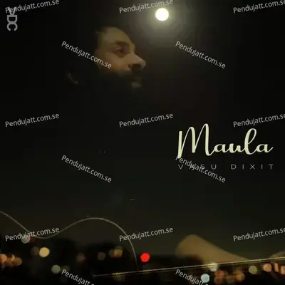 Maula - Vasu Dixit album cover 