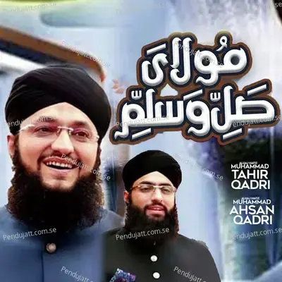Maula Ya Salli Wasalim - Alhaj Hafiz Muhammad Tahir Qadri album cover 