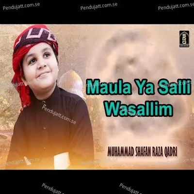 Maula Ya Salli Wasallim - Muhammad Shafan Raza Qadri album cover 