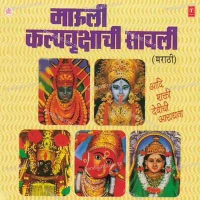 Vimanti Ekavi Hai Jagdambe - Shrikant Paargavkar album cover 