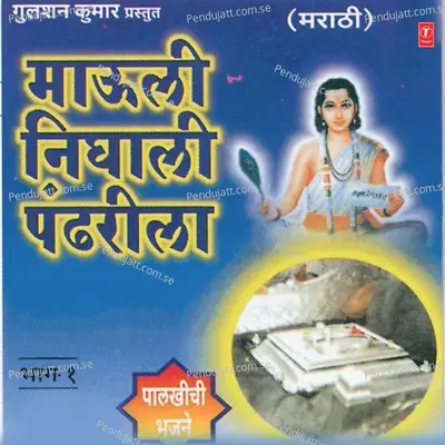 Tueya Naamachi Aavdi - Shrikant Paargavkar album cover 