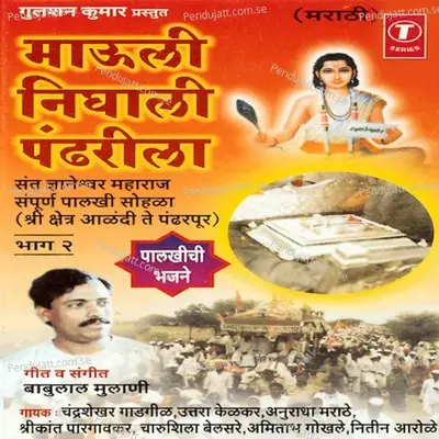 Wari Aali Ya Janmi Dhadoon - Shrikant Paargavkar album cover 