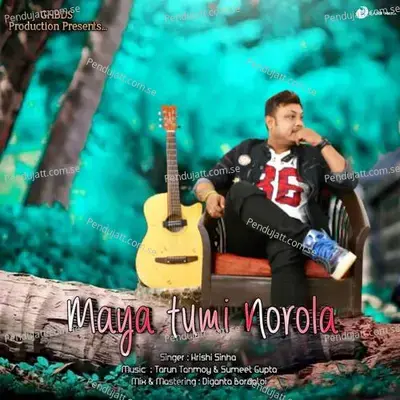 Maya Tumi Norola - Hrishi Sinha album cover 