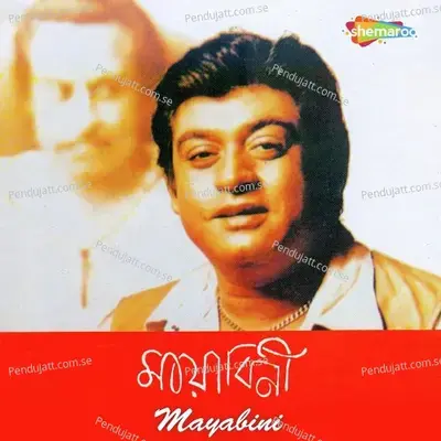 Sapne Aese - Amit Kumar album cover 