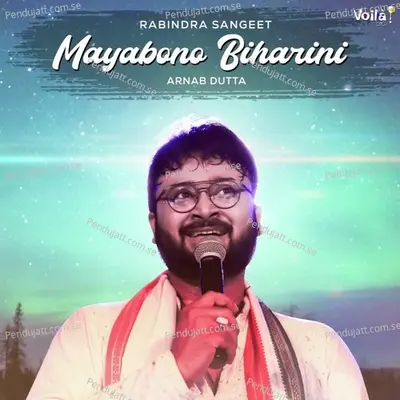 Mayabono Biharini - Arnab Dutta album cover 