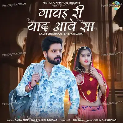 Mayad Ri Yaad Aave Sa - Salim Shekhawas album cover 