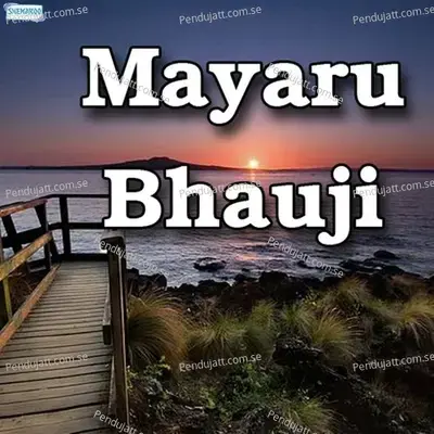 Mayaru Bhauji - Alka Chandrakar cover album