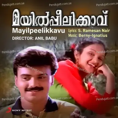 Mayilaai Parannu Vaa - Berny-Ignatius album cover 