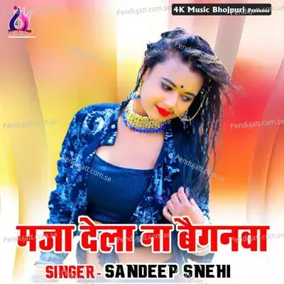 Maal Hamar Holi Dhoka Diya Hai - Sandeep Snehi album cover 