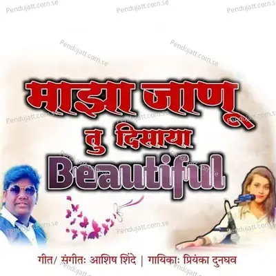 Maza Janu Tu Disaya Beautiful - Priya Dunghav album cover 