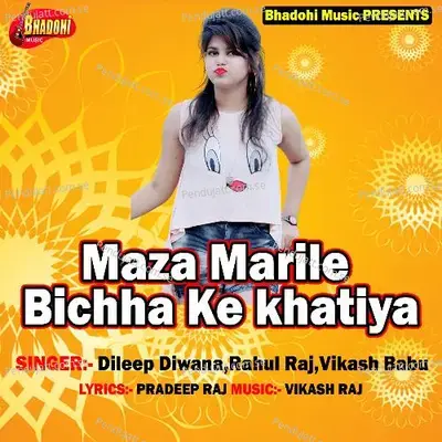 Maza Marile Bichha Ke Khatiya - Vikash Babu album cover 