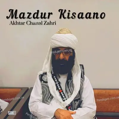 Mera Rehnuma Bezanjo - Akhtar Chanal Zahri album cover 