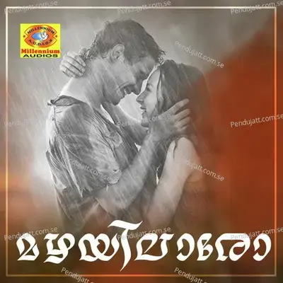 Paathi Peytha - Vishnu Unni album cover 