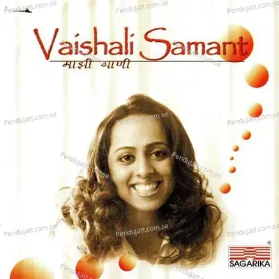 Nakhava Re Nakhava - Vaishali Samant album cover 