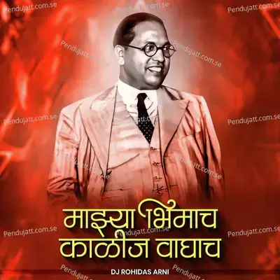 Mazya Bhimacha Kalij Waghacha - Vaibhav Khune album cover 