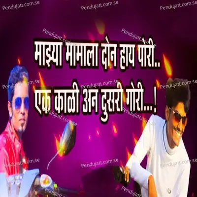Mazya Mamala Don Hay Pori Ek Kali An Dusari Gori - Raj Hiwale album cover 