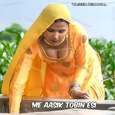 Me Aasik Tobin Esi - Waseem Dehangal album cover 