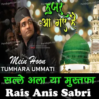 Me Hu Tumara Ummati Ya Nabi Pyare Nabi - Rais Anis Sabri album cover 