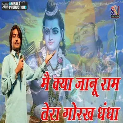 Me Kya Janu Ram Tera Gorkh Dhandha - Raju Swami album cover 