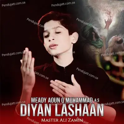 Meady Aoun O Muhammad As Diyan Lashaan - Master Ali Zamin album cover 