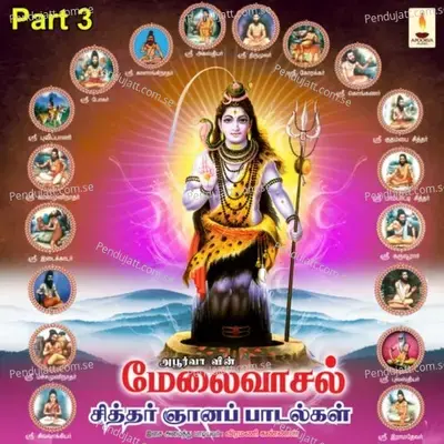 Aanum Pennum Endri Endri - Veeramani Kannan album cover 