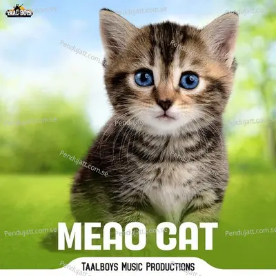 Meao Cat - Thanseer Koothuparamba album cover 