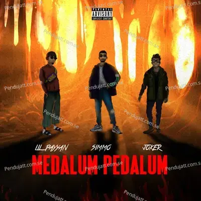 Medalum Pedalum - Simmo album cover 