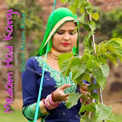 Medam Had Kargi - Wasim Akram Alwar album cover 